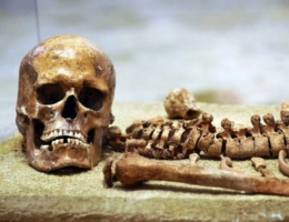 Lo scheletro di Thea